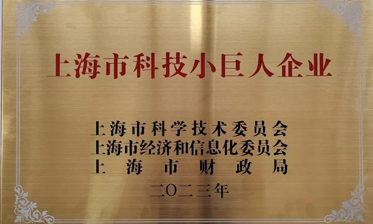 上海市科技小巨人企业